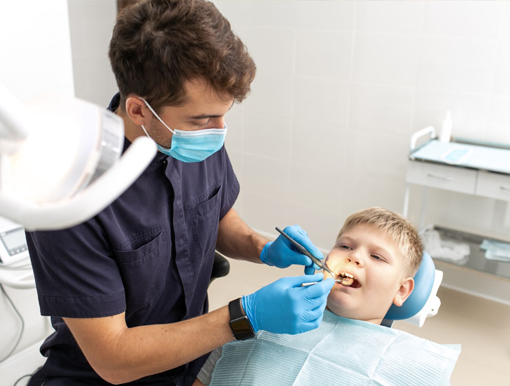 Study dentistry